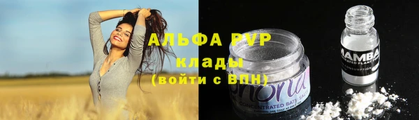 круглые Новодвинск