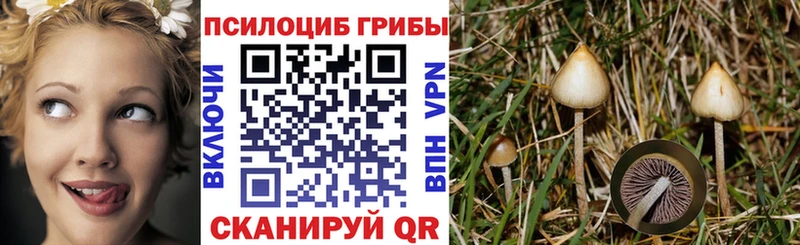 Псилоцибиновые грибы MAGIC MUSHROOMS  Хасавюрт 